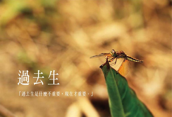 過去生