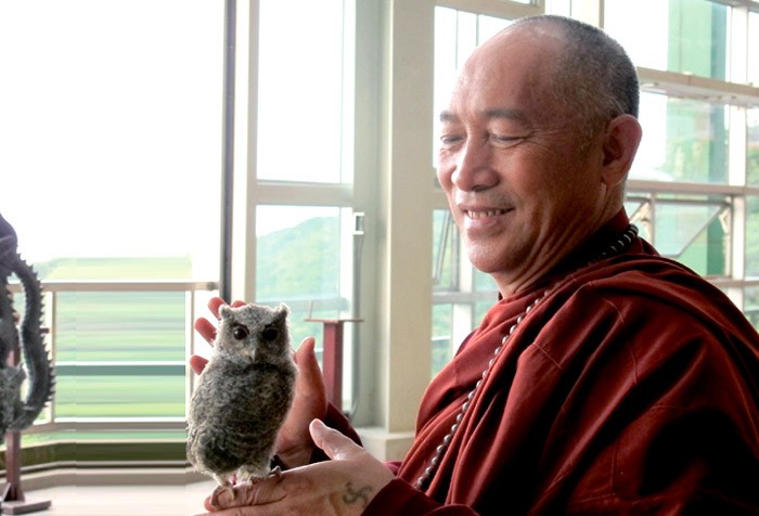 善書導讀--《放生》