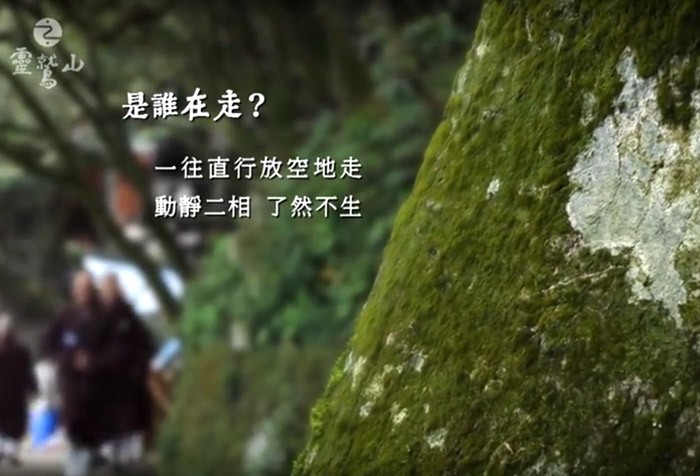 [四期教育課程分享] 觀照--覺醒力不夠 習氣直衍生