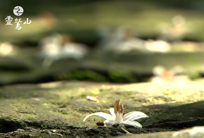 [四期教育課程分享] 開展--看見生命中不同的風景 獲得力量