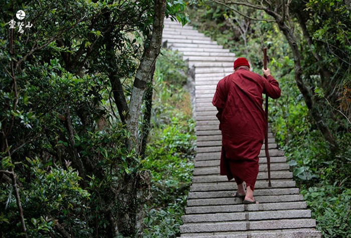 《心道法師壽誕開示》 讓生命開出智慧的花朵